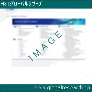 グローバルリサーチ調査レポートのイメージ